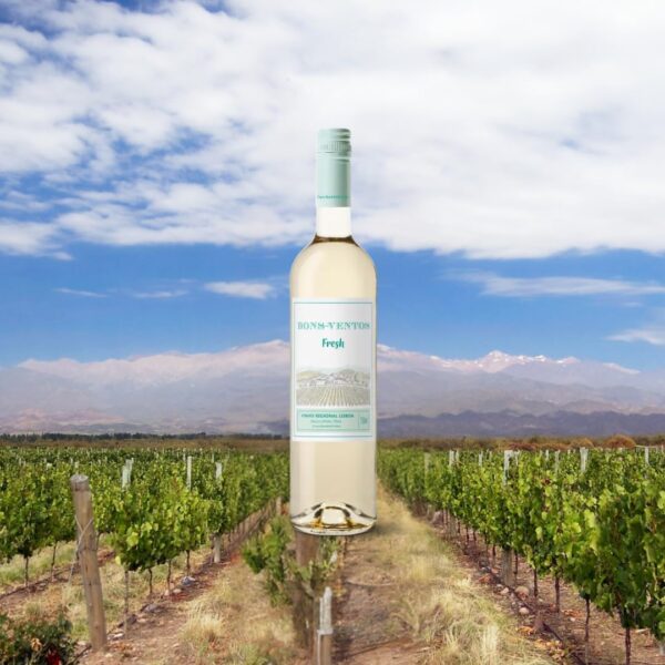 Casa Santos Lima Vinho Quinta De Bons Ventos Fresh Branco - Imagem 4