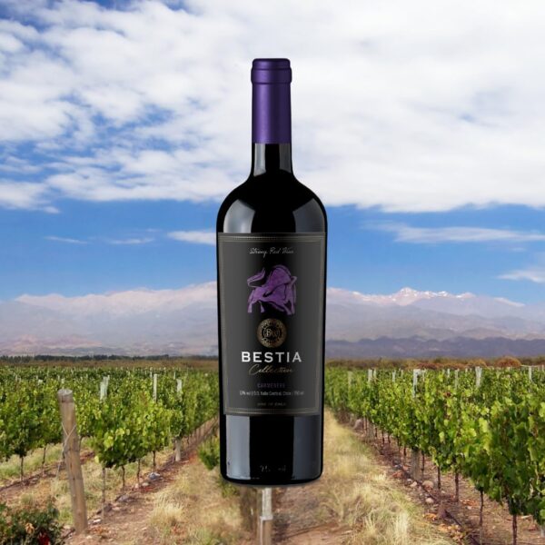 Bestia Vinho Tinto Chileno Collection Carmenére 750Ml - Imagem 8