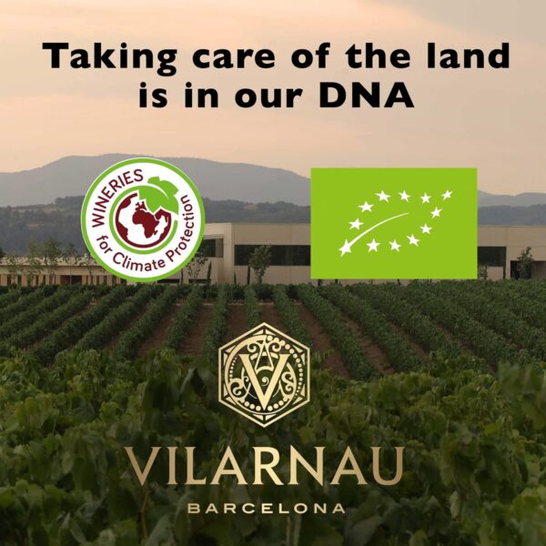 Vinho Cava Vilarnau Brut - Imagem 6