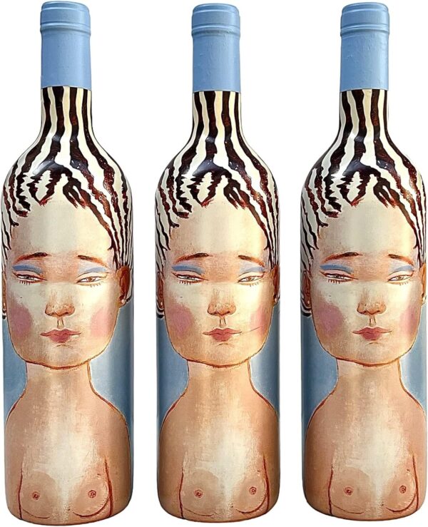 Vinho Chileno Vik La Piu Belle Tinto | Kit com 3 Garrafas | Oferta