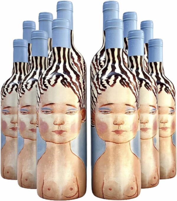 Vinho Chileno Vik La Piu Belle Tinto | Kit com 12 Garrafas | Oferta