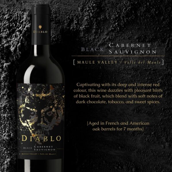Concha y Toro Diablo Dark Black 750ml - Imagem 2