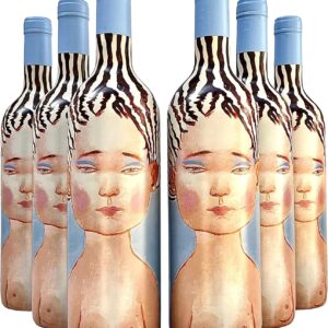 Vinho Chileno Vik La Piu Belle Tinto | Kit com 6 Garrafas | Oferta