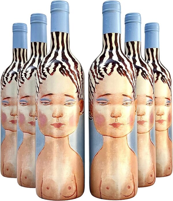Vinho Chileno Vik La Piu Belle Tinto | Kit com 6 Garrafas | Oferta