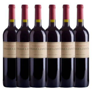 Vinho Cabernet sauvignon Angélica Zapata adega Catena Zapata 750 ml pacote x 6 u em um estojo de caixa